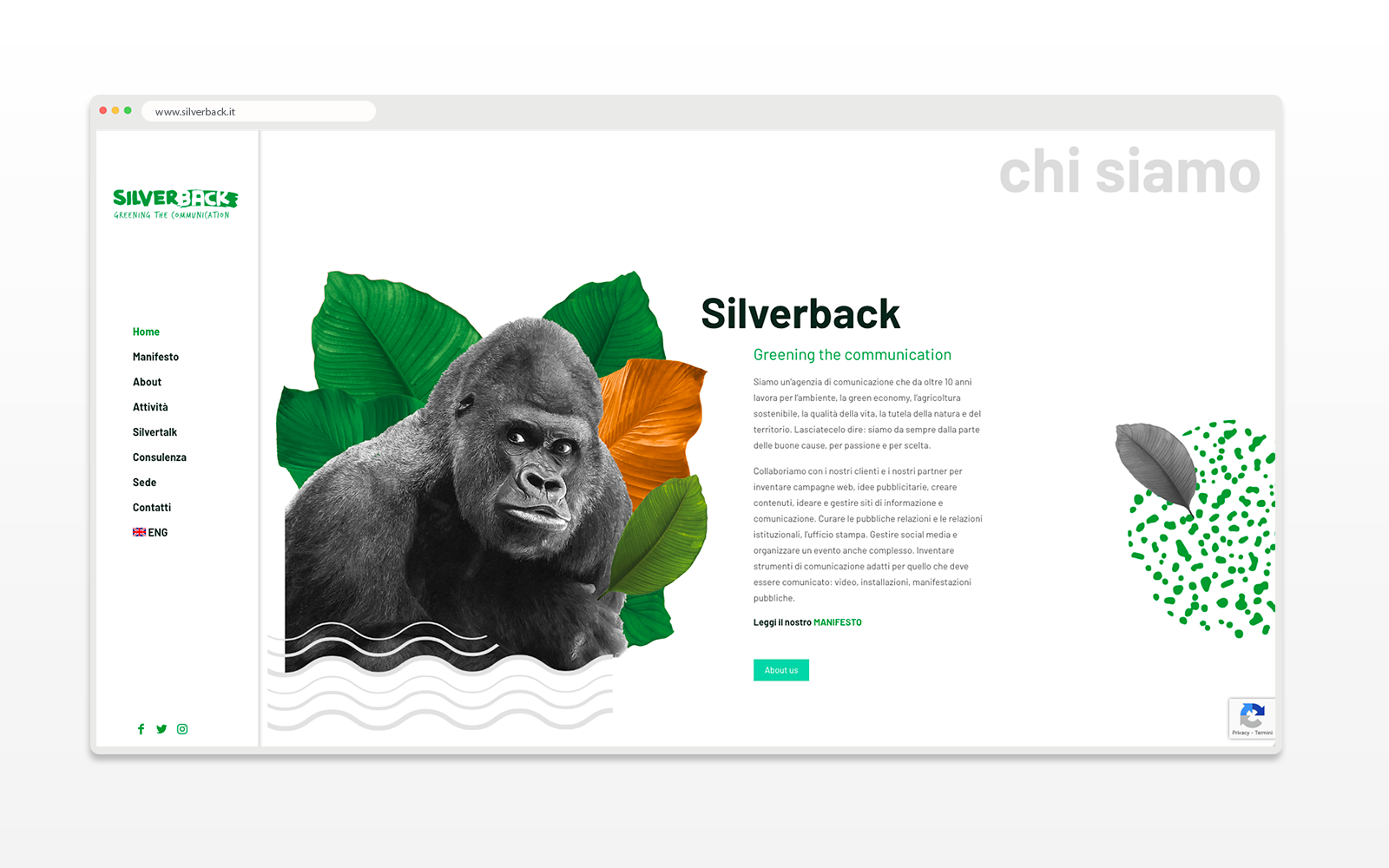 02_SILVERBACK