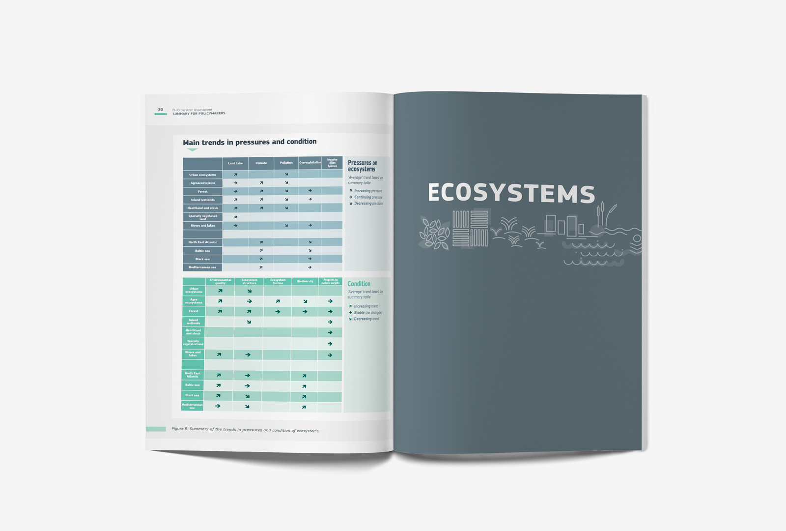 04_ECOSYSTEM